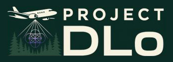 Project DLo Logo